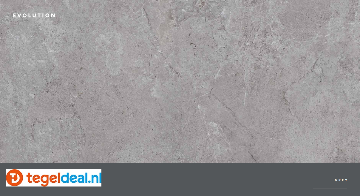 Castelvetro, Evolution GREY,  100x100 cm, CEV10R4 