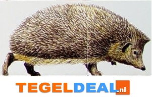TH1-25b Egel jong, handbeschilderde tegel, 13x13 cm TH1-25b Egel jong, handbeschilderde tegel, 13x13 cm