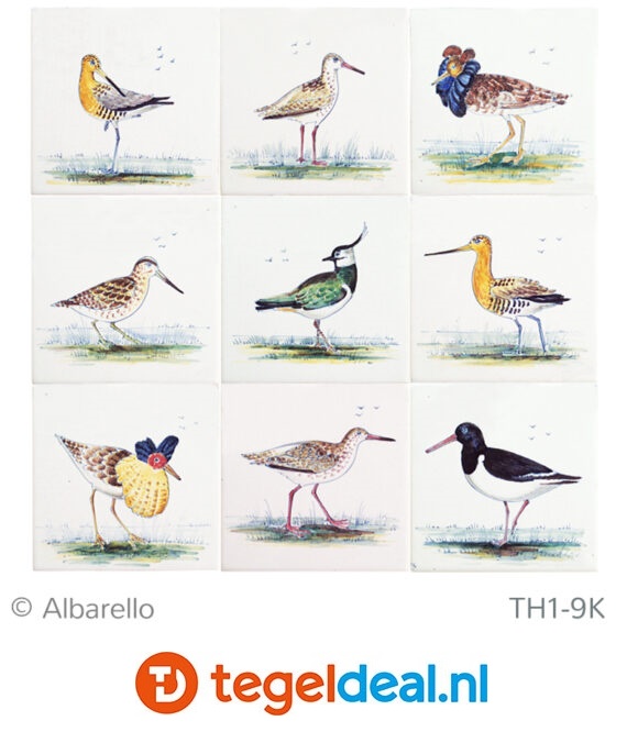 TH1-9k, Weidevogels, handbeschilderde tegels, 13x13 cm 