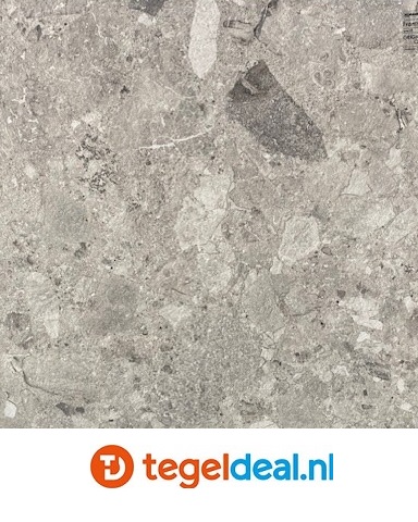 Fioranese, Frammenta Grigio Chiaro Nat. 60x60 cm CG603R