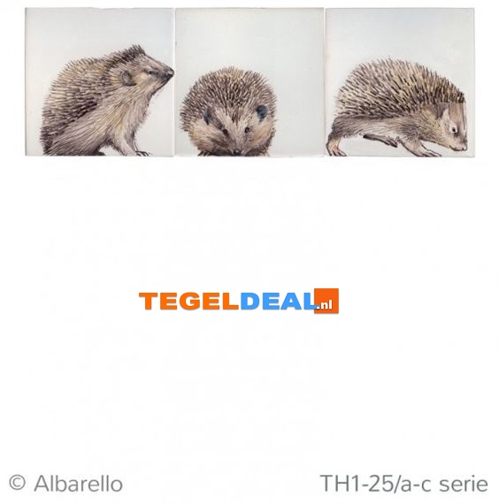 TH20-2 ; Volwassen egel, 2 tegels 13 x 13 cm 