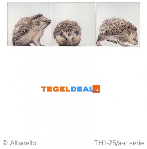 TH1-25b Egel jong, handbeschilderde tegel, 13x13 cm TH1-25b Egel jong, handbeschilderde tegel, 13x13 cm