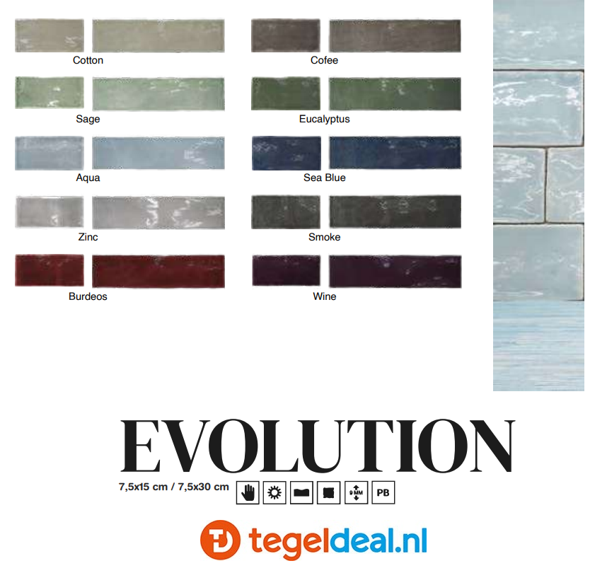 Life, Evolution WINE, 7,5x15, 7,5x30 cm, handvorm wandtegels   