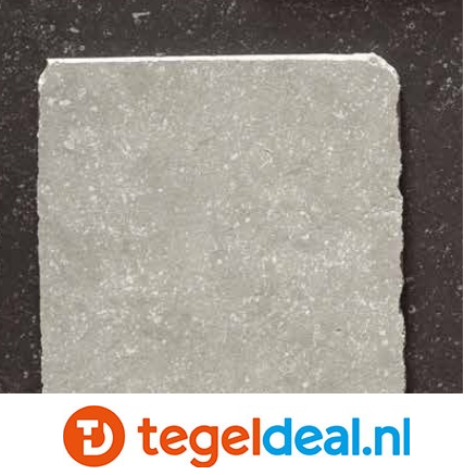 ACTIE - SIL Milestone Grey, 20x20 cm getrommeld - OP VOORRAAD