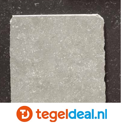 VLT SIL Milestone Grey, 20x20 cm getrommeld  OP VOORRAAD