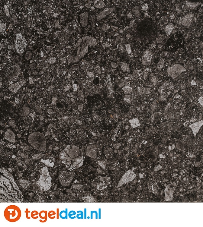 Mirage Norr Svart Naturale RR03, 60x60 cm TX11 Mirage Norr Svart Naturale RR03, 60x60 cm TX11