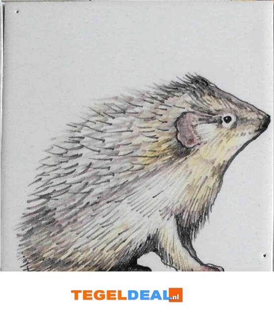 TH1-25b Egel jong, handbeschilderde tegel, 13x13 cm TH1-25b Egel jong, handbeschilderde tegel, 13x13 cm