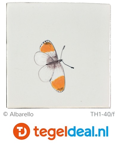TH-1-40 Vlinders Groot, handbeschilderde tegel, 13x13 cm