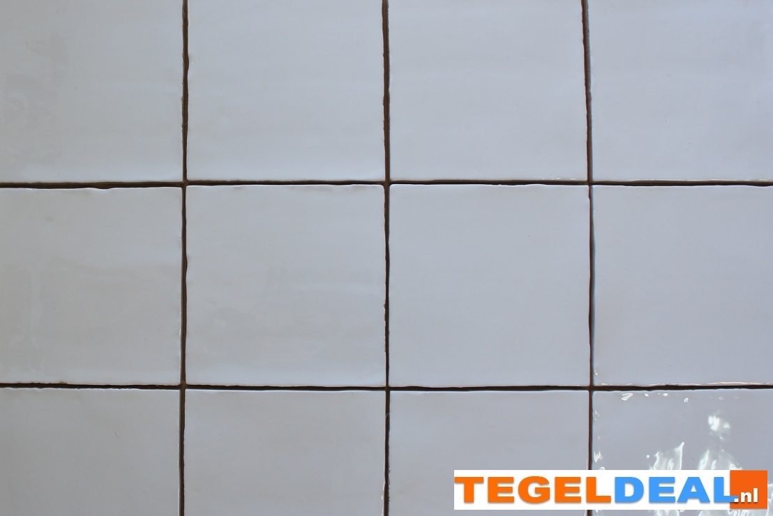 WDT Handvorm WIT, glans, 13x13 cm, OP VOORRAAD WDT Handvorm WIT, glans, 13x13 cm, OP VOORRAAD