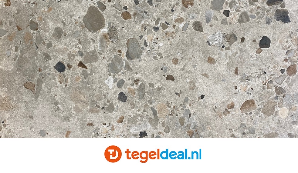 Fioranese, I Cocci Siciliani Grigio Nat. 60x60 cm SC603R