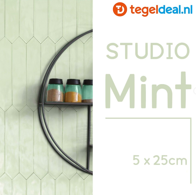 Life, Studio MINT, 5x25 cm pijlvorm wandtegels