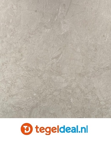 Fioranese, Mashup Dolomia Grigio Chiaro Nat. 90x90 cm DI903R