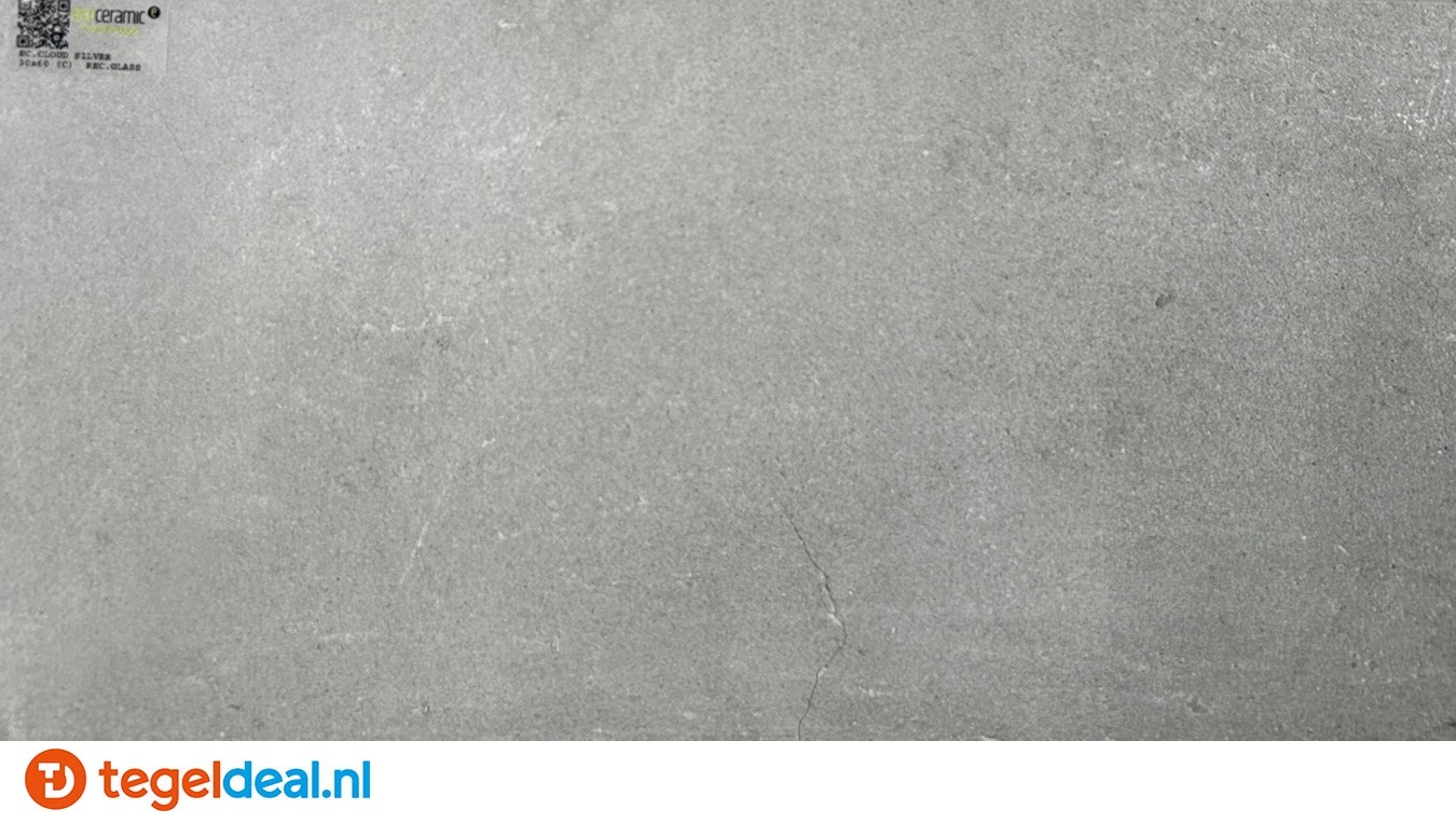 Ecoceramic, Cloud SILVER, 60x60 cm, betonlook tegels 