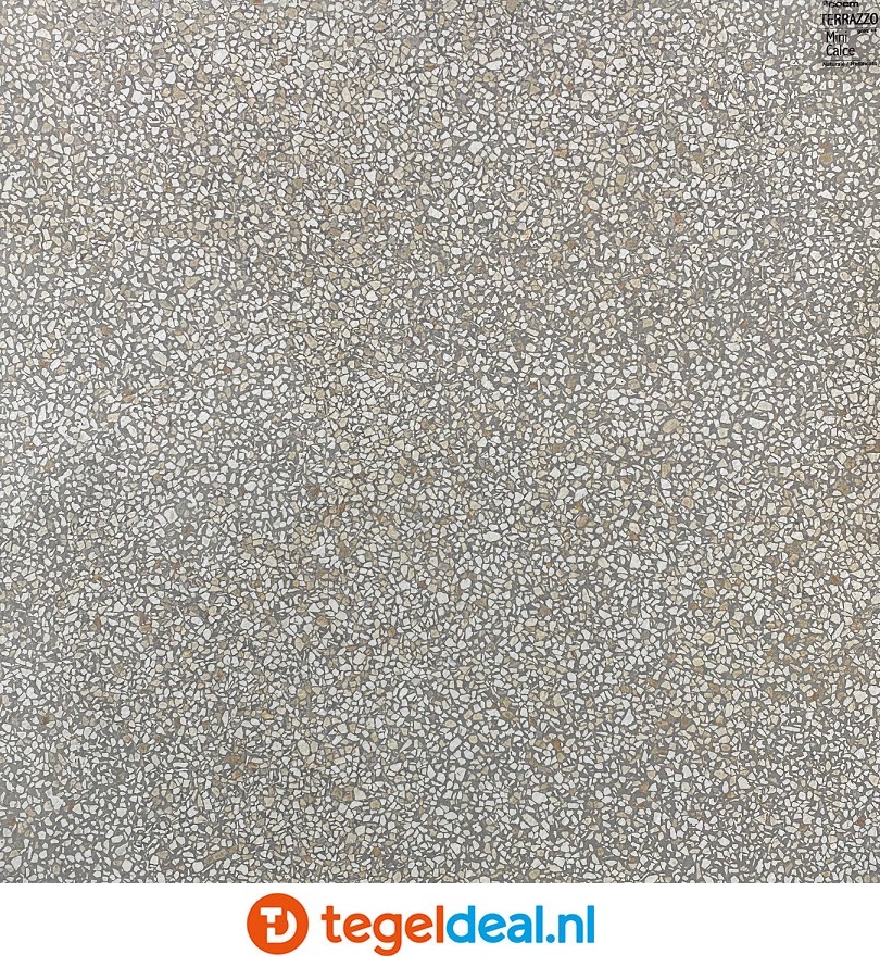 Coem Terrazzo, CALCE MINI, 60x60 cm Nat. TZ603R