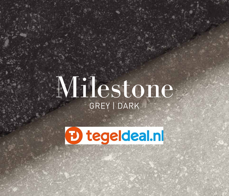 VLT SIL Milestone Grey, 20x20 cm getrommeld  OP VOORRAAD