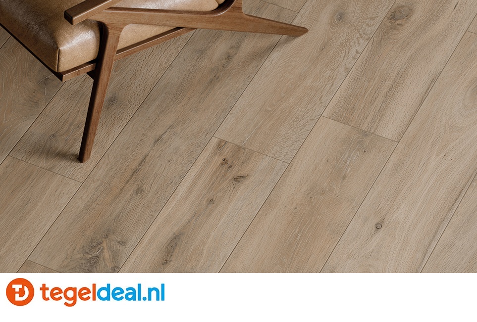 Rondine: overzicht collecties 