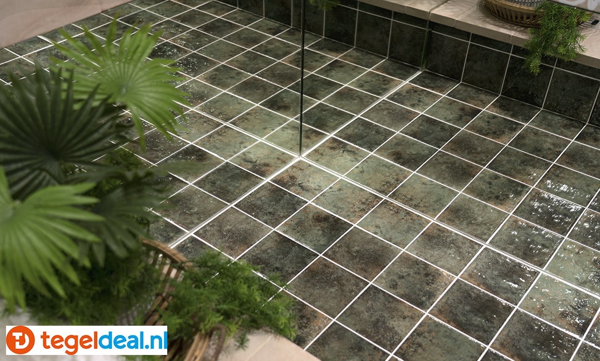 Mainzu: overzicht collecties   