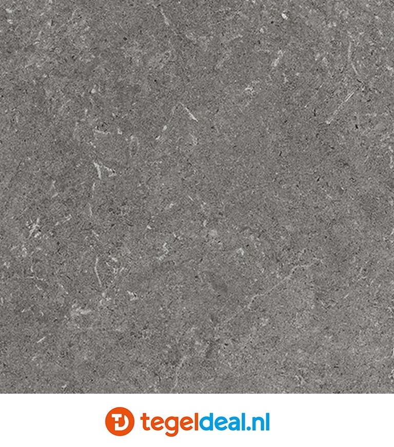 VLT Supergres Epika Grey, 60 x 60 cm