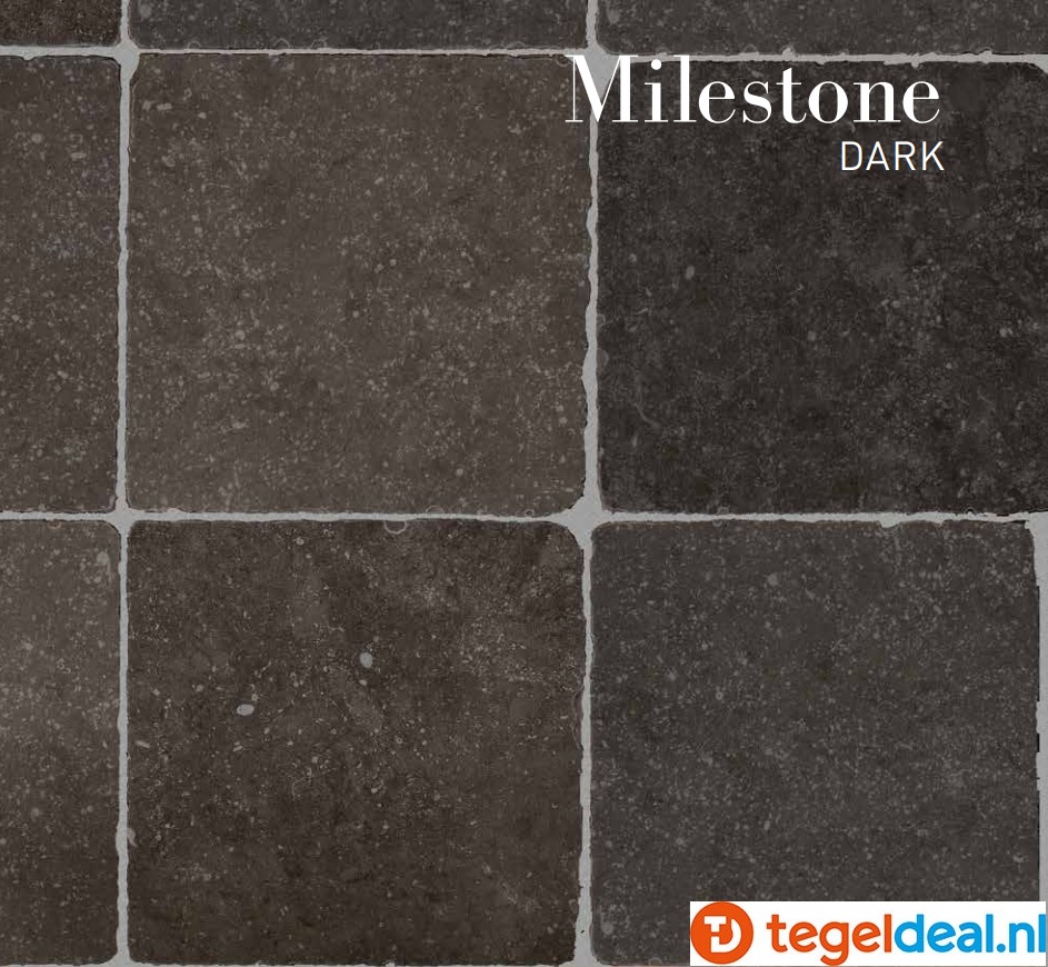ACTIE - SIL Ceramiche Milestone Dark, 20x20 cm getrommeld - OP VOORRAAD
