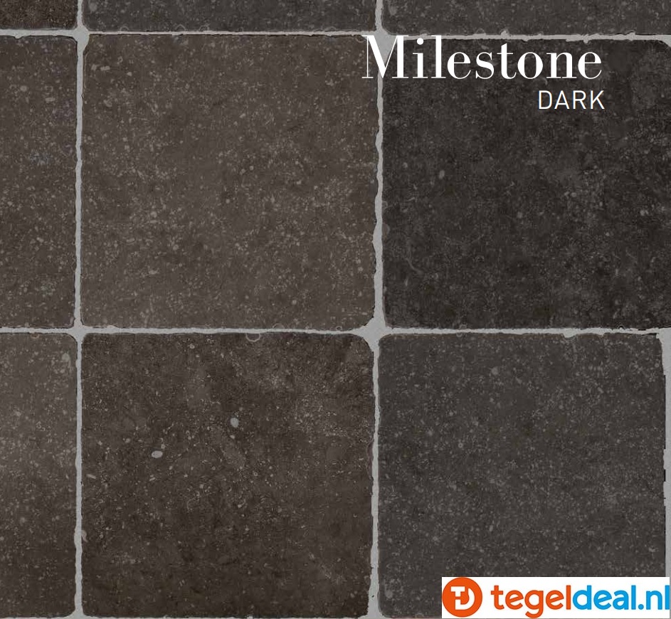 VLT SIL Ceramiche Milestone Dark, 20x20 cm getrommeld OP VOORRAAD