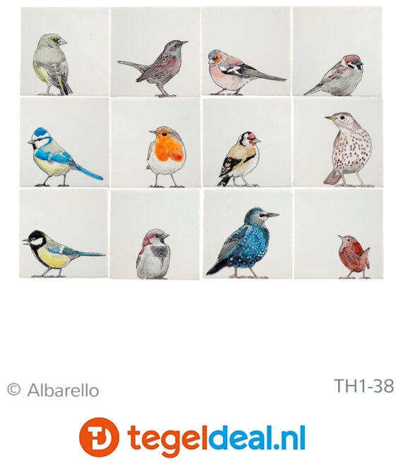 TH1-38 Vogels uit de tuin, handbeschilderde tegels, 13x13 cm 
