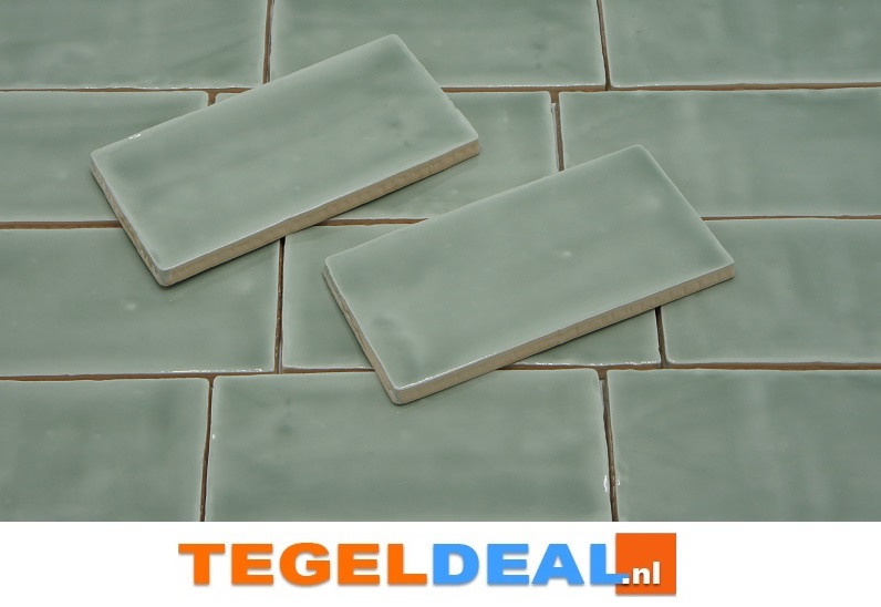 WDT handvorm Life, Evolution SAGE, 7,5x15, 7,5x30 cm WDT handvorm Life, Evolution SAGE, 7,5x15, 7,5x30 cm