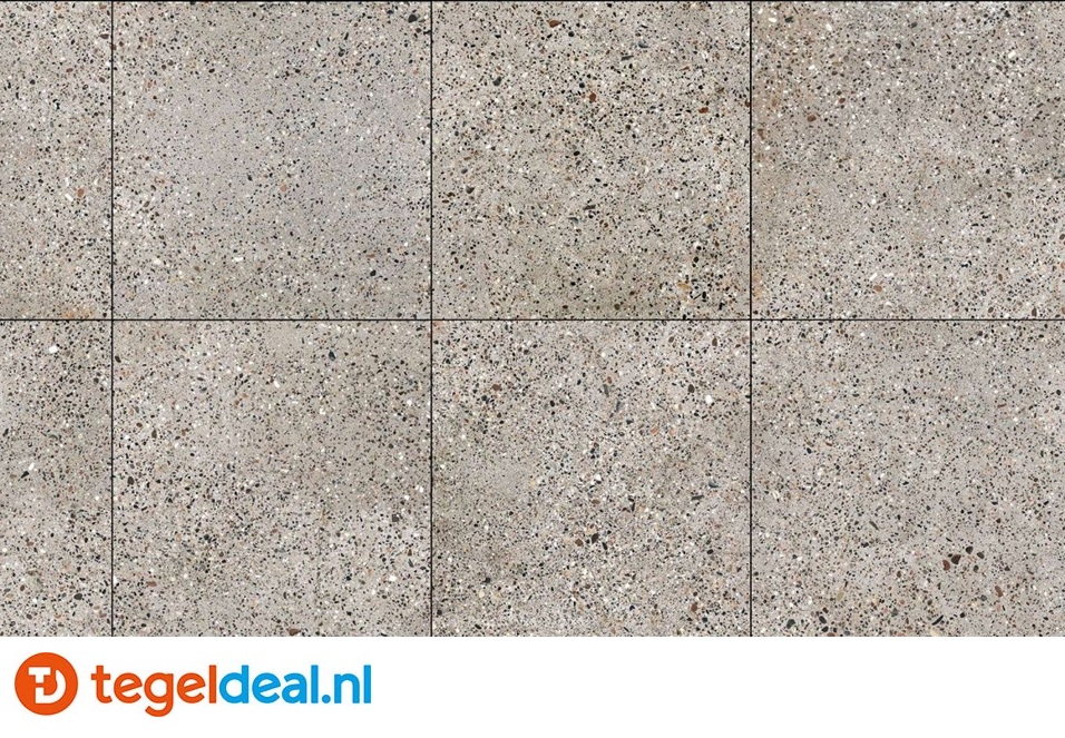Peronda, Fs Venecia, 45x45 cm, terrazzolook tegels