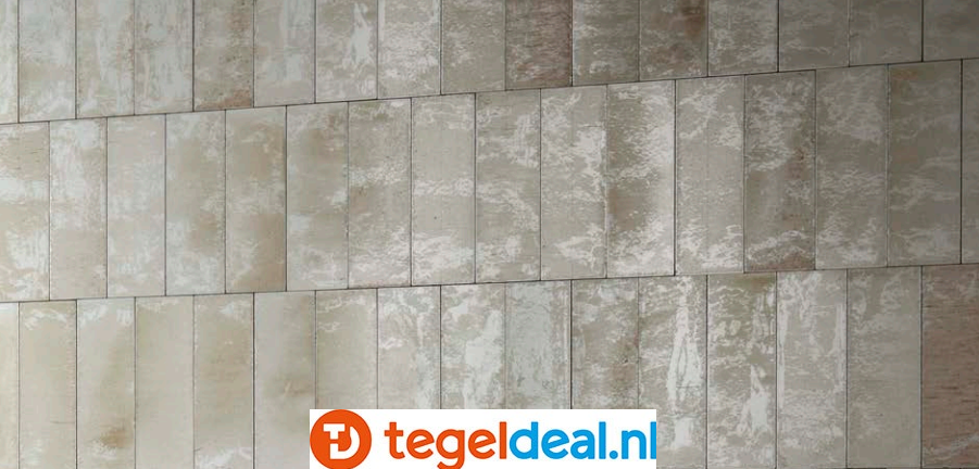 WDT Ragno Gleeze BEIGE, 5x15 cm, R8HN