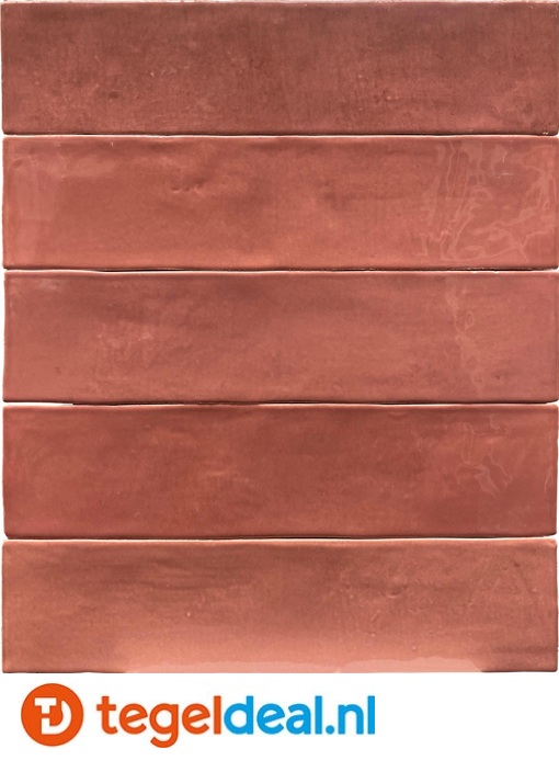Revoir Paris, Studio ROSE D'ANTAN, 6,2x25 cm, glanzende handvorm wandtegels