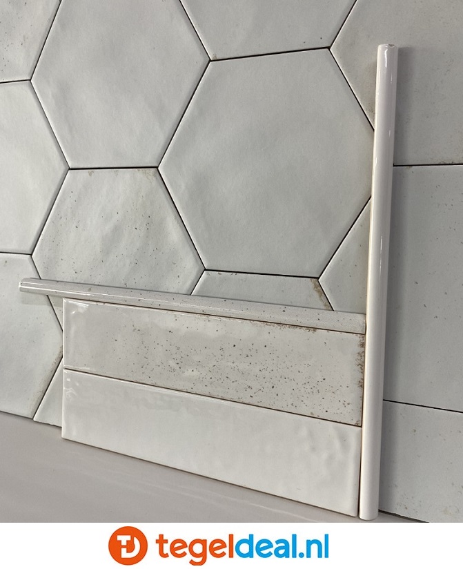 Ribesalbes Hope WHITE, Jolly, 1,2x30 cm - OP VOORRAAD Ribesalbes Hope WHITE, Jolly, 1,2x30 cm - OP VOORRAAD