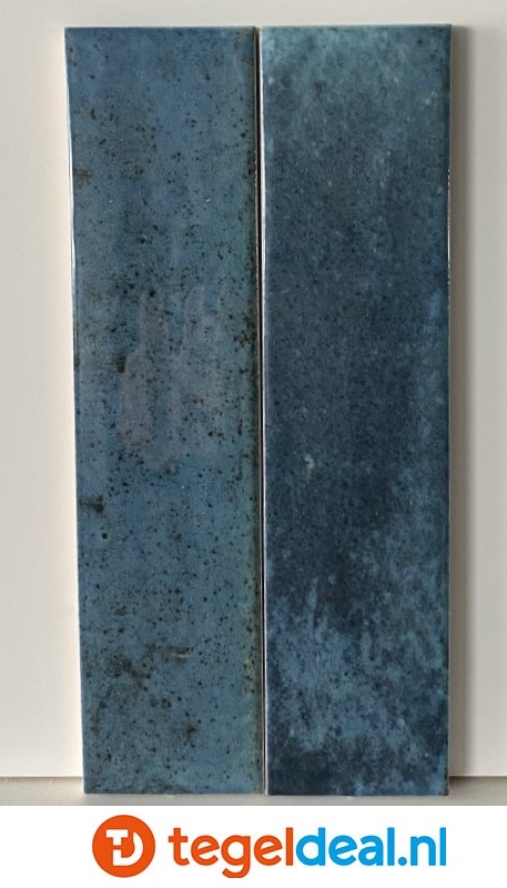 WDT Ribesalbes Hope BLUE glans, 6x25 cm OP VOORRAAD