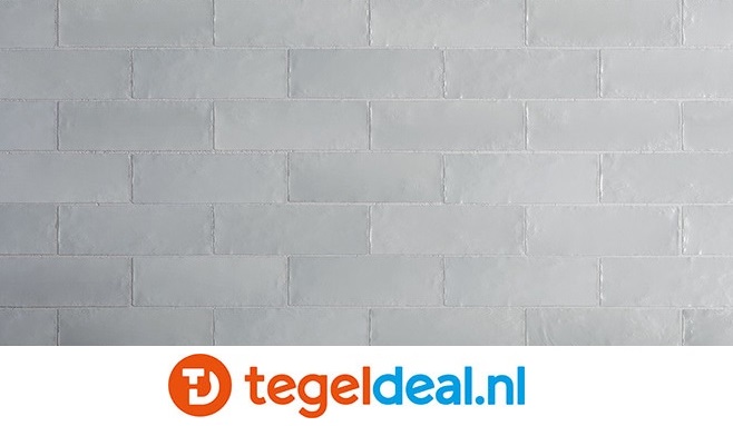 WDT Equipe Mallorca BLUE, 6,5x20 cm, art 23254