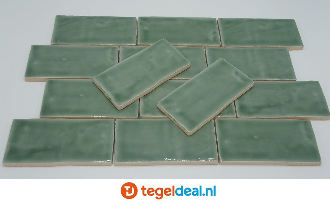 Life, Evolution EUCALYPTUS, 7,5x15, 7,5x30 cm, handvorm wandtegels     