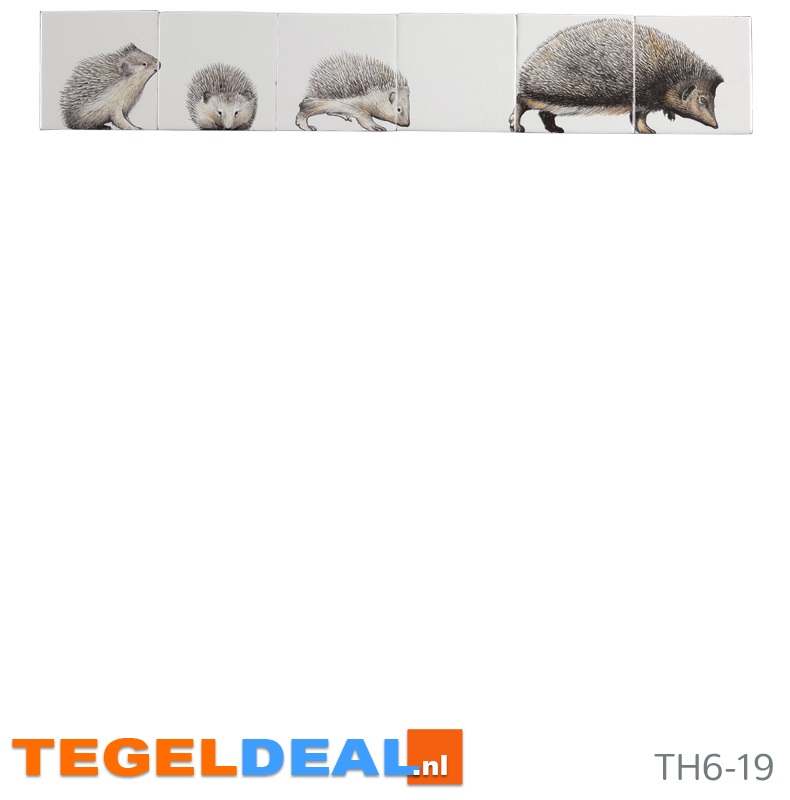 TH6 - 19   Volwassen egel met 3 jongen, 6 tegels 13x13 cm
