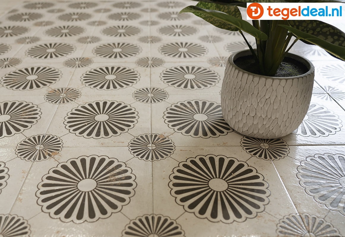 Mainzu: overzicht collecties   