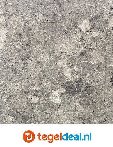 Fioranese, Frammenta Grigio Scuro Nat. 20x120 cm CG217R