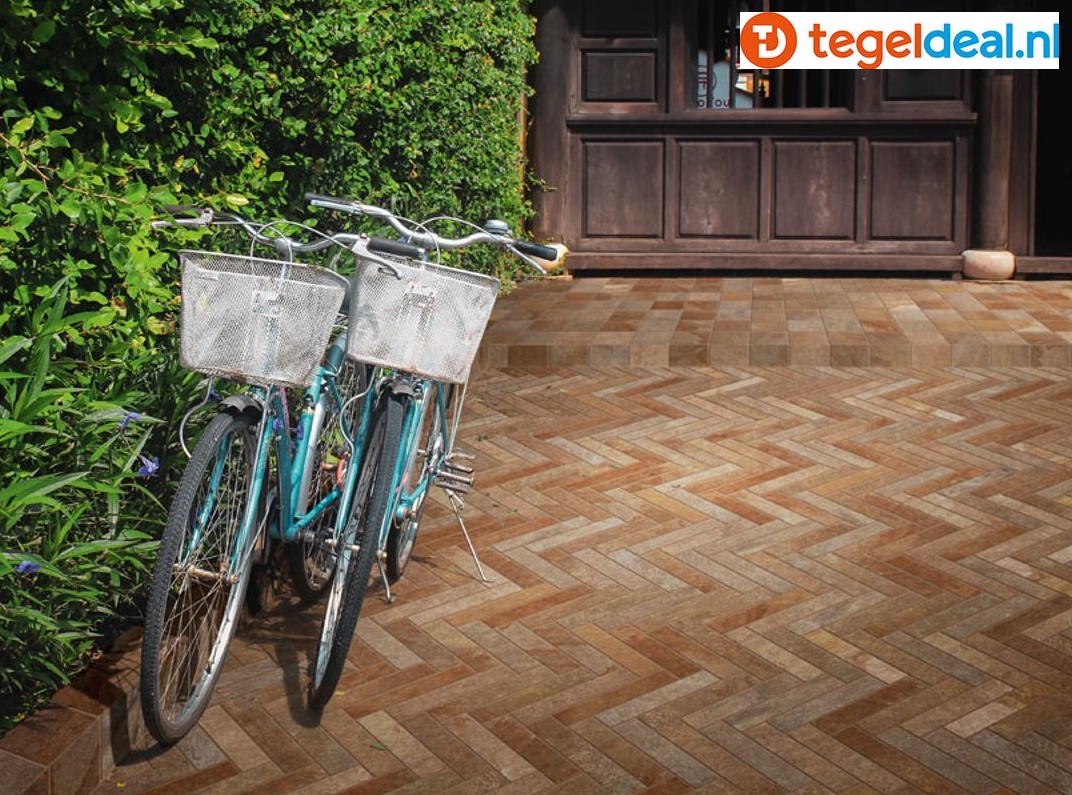 Imola: overzicht collecties 